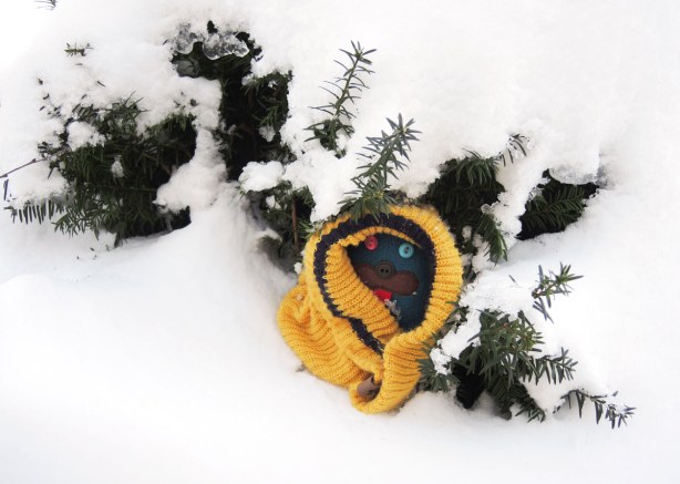 Edgar is wrapped up in a yellow wolly hat.  He's under the branches of a small evergreen but he's surrounded by snow. 