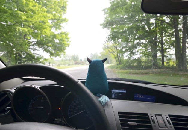 Edgar is sitting on the dashboard of a car.  He is looking out the front window as the car drives down a road that has large trees on either side of it