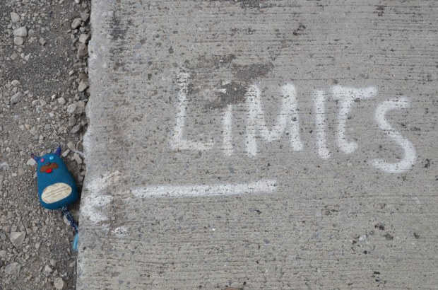Edgar is lying on some gravel.  Beside him is the edge of a concrete sidewalk on which someone has written the word Limits in white paint.  There is a white arrow under the word LImits and it is pointing at Edgar
