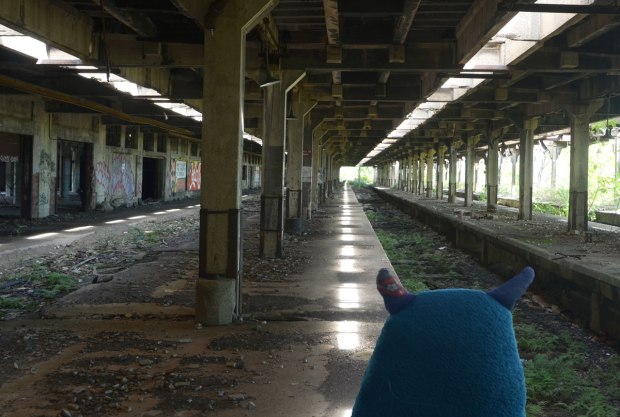 Edgar is standing in an abandoned train station. He is looking down the overgrown train platform