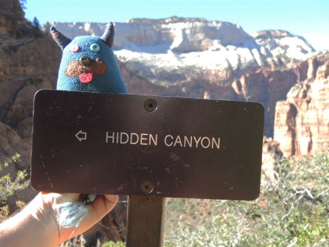 Edgar is being held up to a brown sign that says Hidden Canyon. There is mountain behind him. 