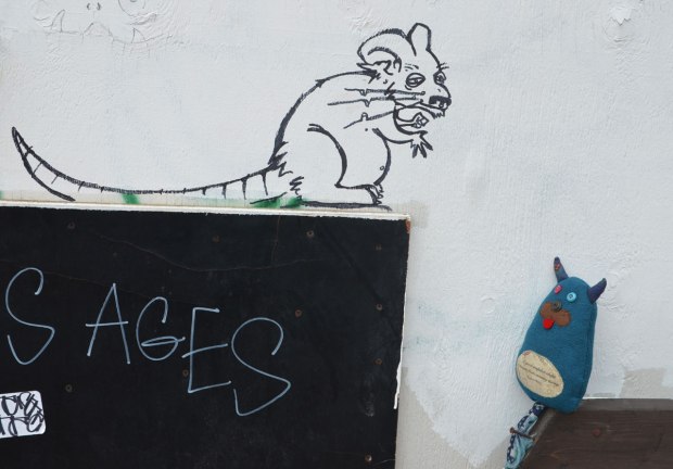 graffiti drawing of a rat (line drawing in black) on a white wall. Edgar is sitting on a post beside the wall looking at the rat. 